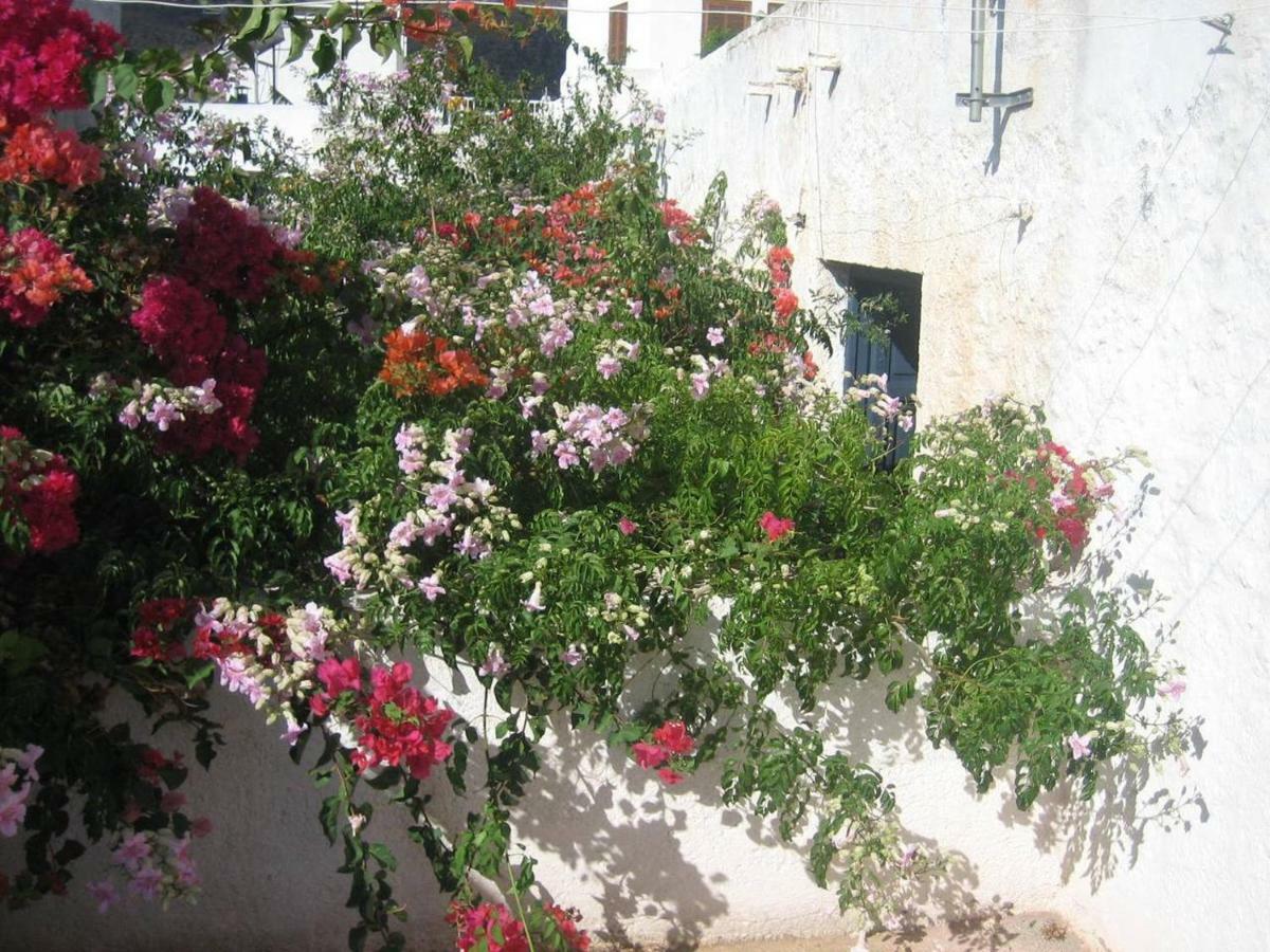 Casa De La Buganvilla Rodalquilar Dış mekan fotoğraf